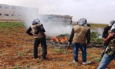 В Кобане пытаются бороться с наркобизнесом 