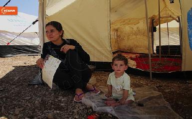 Новорожденные беженцы в лагерях Курдистана 