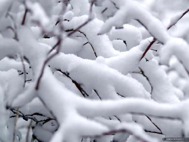 Снегопад в Сулеймании, температура 7 градусов ниже нуля 