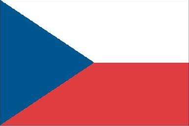 Глава Чехии не исключил использование истребителей страны против ИГ