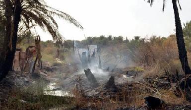 Исламисты сожгли 100 гектаров садов в Саадии 
