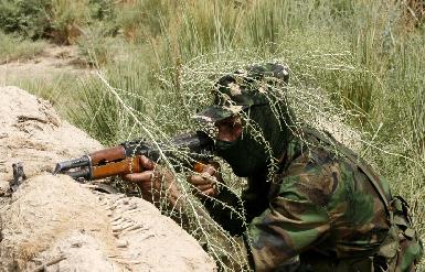 Дания направит иракским курдам легкое вооружение и боеприпасы
