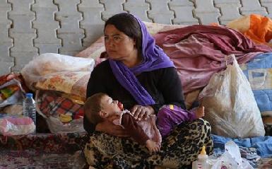 430000 езидов покинули свои дома в результате нападения ИГ