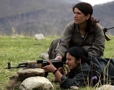 Турецкие исследователи о мотивах, заставляющих курдов присоединяться к РПК