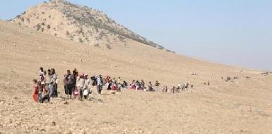 Курдский чиновник обнародовала последние данные о геноциде езидов