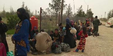 50 семей прибыли в Курдистан после бегства из Мосула