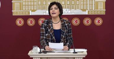 Депутат НДП спела на курдском в знак протеста против ареста музыкантов