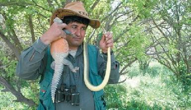 Ловец змей из Курдистана