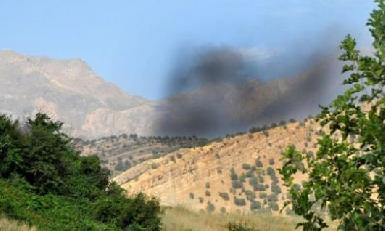 Обстрелы и пожары уничтожают леса Курдистана