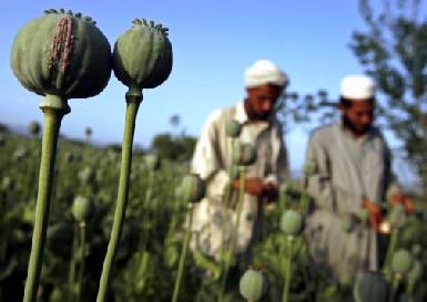 Иран: священная война с афганскими наркотиками