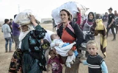 Курды Кобани предупреждают о "втором Шангале"