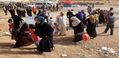 Более 30 семей курдов-шабаков бежали из Мосула