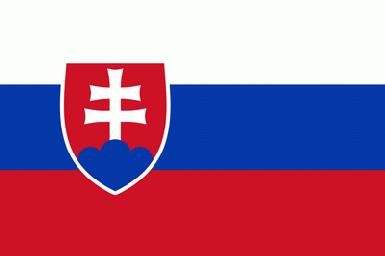 Премьер-министр: Словакия готова направить военнослужащих на борьбу с ИГ