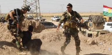 Курдские силы безопасности арестовали в Киркуке эксперта ИГ