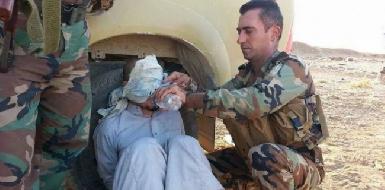 В плену пешмерга находятся тысячи боевиков ИГ