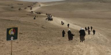 В пустынях Анбара погибли десятки семей