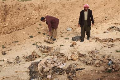 В Синджаре найдены еще 6 массовых захоронений езидов