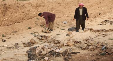 В Мосуле обнаружена еще одна братская могила езидов