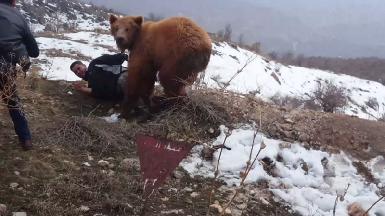 Медведи атаковали репортеров