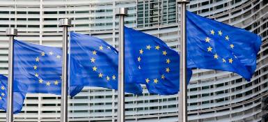 Парламент ЕС призывает Турцию остановить атаки на Африн