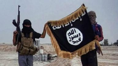 В Дияле убиты более 20 боевиков ИГ