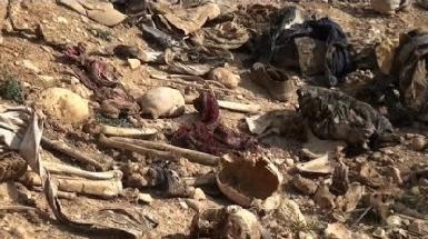 В Мосуле обнаружена еще одна братская могила жертв ИГ