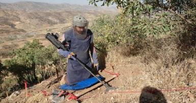 Курдистан: еще два поля очищены от наземных мин