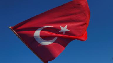 Турция не намерена просить у США разрешение на проведение военной операции в Сирии