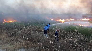 Власти Ирака расследуют причины массовых пожаров на фермах