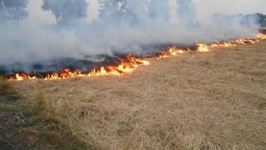 В результате пожара на ферме в Мосуле погиб человек