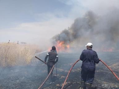 Надя Мурад: Пожары на фермах Синджара организованы ИГ