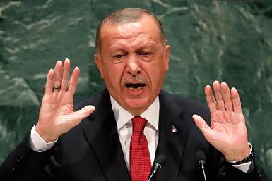 Эрдоган отказался говорить с отправленным в Турцию вице-президентом США
