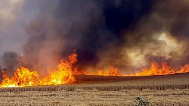 В Киркуке горят курдские фермы