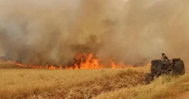 Урожаи курдских фермеров уничтожает огонь