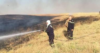 В трех деревнях Киркука сожжены пшеничные фермы