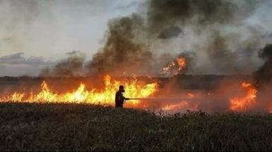 Пожары этого года уничтожили 200 акров посевов на фермах езидов