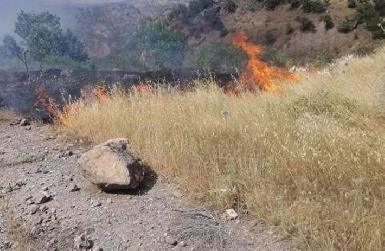 Из-за столкновений между Турцией и РПК в Курдистане горят пастбища 