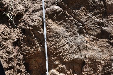 В Курдистане обнаружен камень с древними надписями