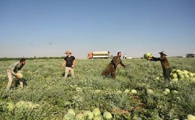 США выделят миллион долларов на развитие сельского хозяйства Иракского Курдистана