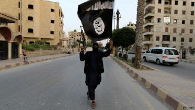 В США поймали канадца, озвучивающего ролики ИГИЛ*