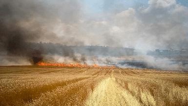 Лесные пожары нанесли ущерб природе Сулеймании 