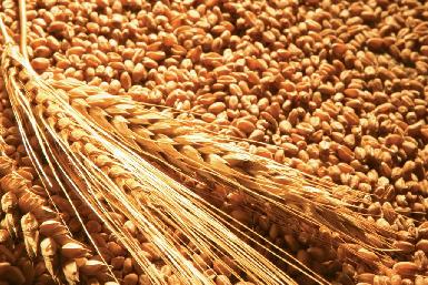 Запасов пшеницы Ирака хватит до апреля 2024 года