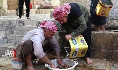 Езиды начинают ежегодный ритуал сбора урожая оливок в храме Лалиш