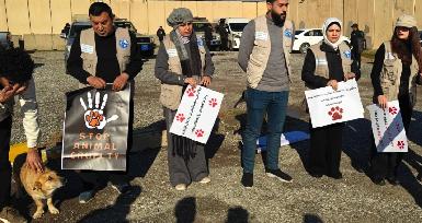 Правозащитные организации провели митинг в Эрбиле из-за убийств бездомных собак
