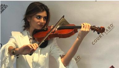 Скрипка Дэльвин