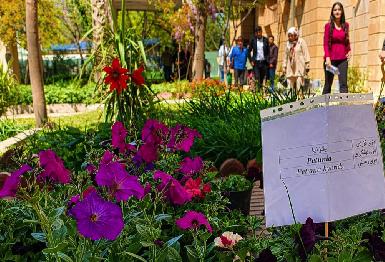 В Университете Сулеймании проходит студенческая выставка цветов