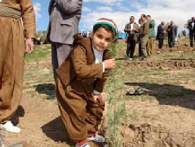В Курдистане высажен миллион деревьев в честь дня рождения Мустафы Барзани