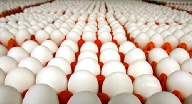 Чиновник: в 2013 г. Курдистан будет производить на 60% больше яиц, чем ныне