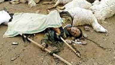 При иранском артобстреле убит курдский пастух